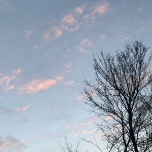 Meet your Posher, Adalynn